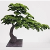 DEKORACYJNE DRZEWO BONSAI 210CM